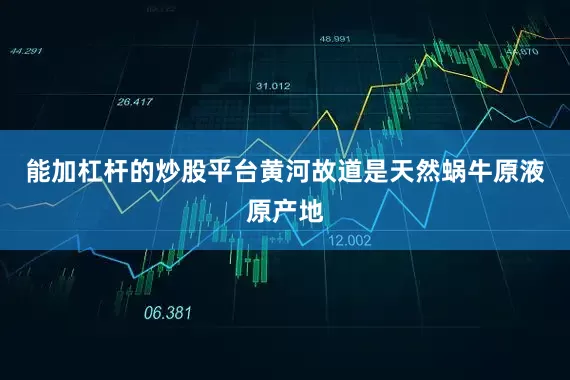 能加杠杆的炒股平台黄河故道是天然蜗牛原液原产地