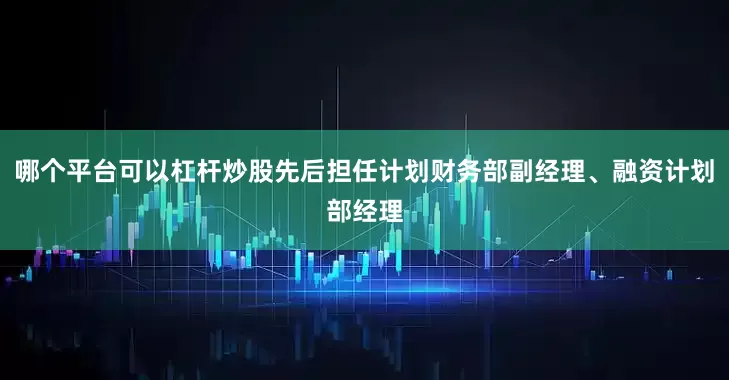 哪个平台可以杠杆炒股先后担任计划财务部副经理、融资计划部经理