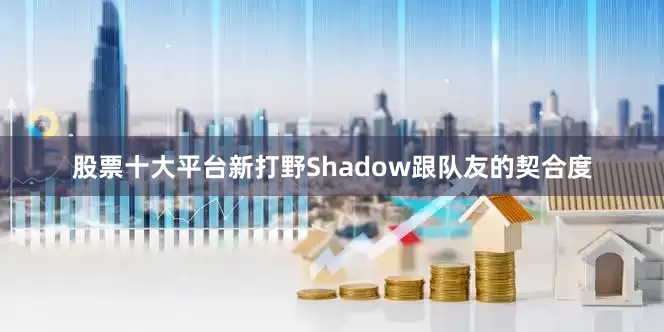 股票十大平台新打野Shadow跟队友的契合度